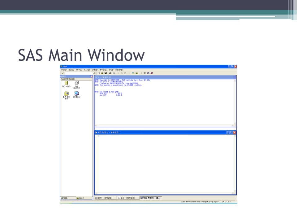 SAS Main Window