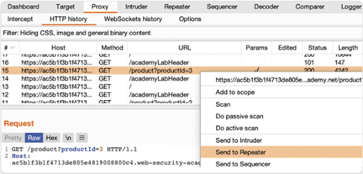 Sending the Request to Burp Repeater