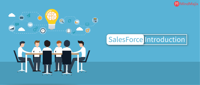 What is Salesforce Administrator?