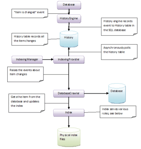 Sitecore Indexing