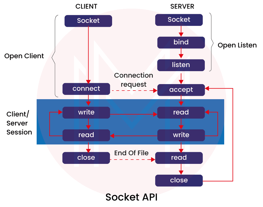 Socket Programming in Java