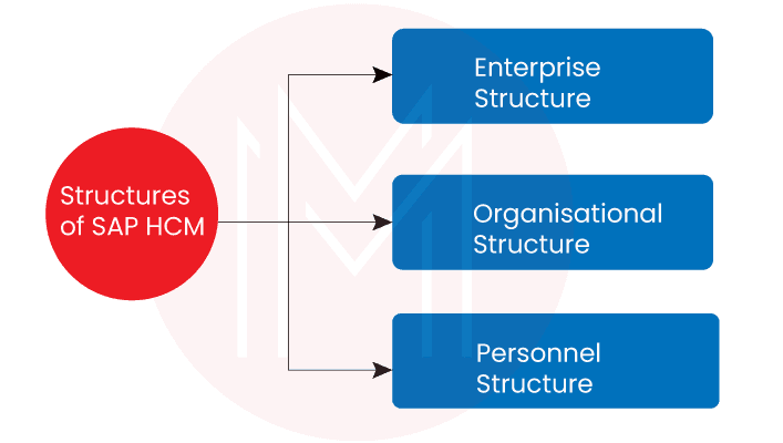  Structures in SAP HCM