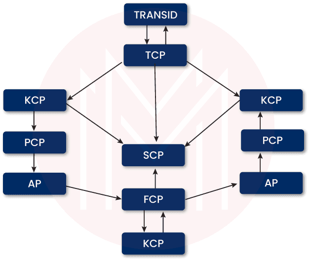 TRANSID