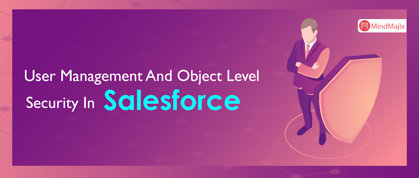 User Management And Object Level Security In Salesforce