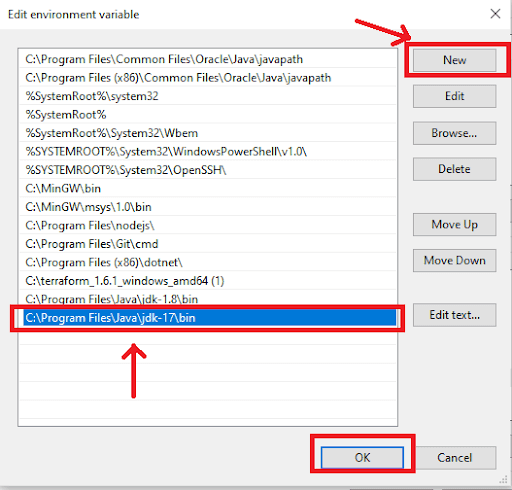 Edit Environment variable