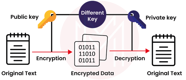 What is RSA Algorithm? | How does an RSA work? - MindMajix