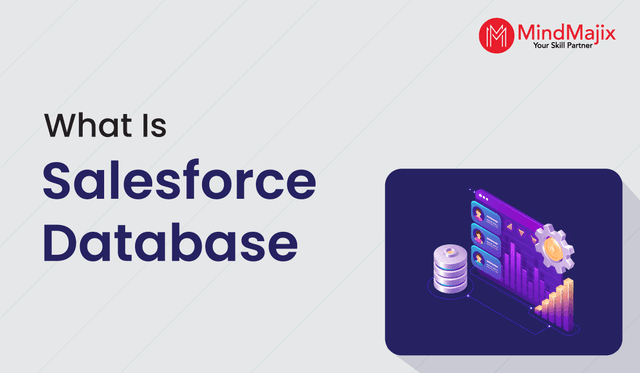 What is Salesforce Database?