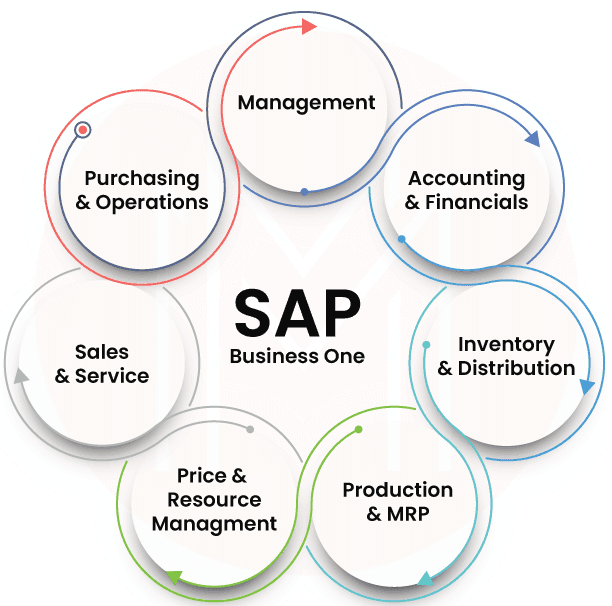 What is SAP Business One