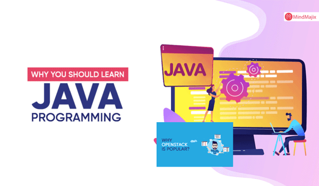 Why You Should Learn Java Programming