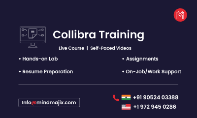 Collibra Training