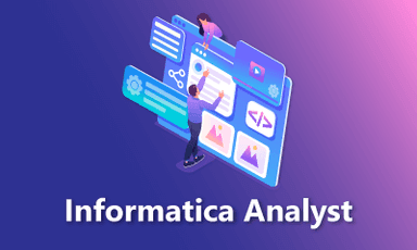 Informatica Analyst Training || "Reco slider img"