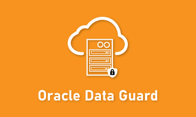 Oracle Data Guard Training || "Reco slider img"