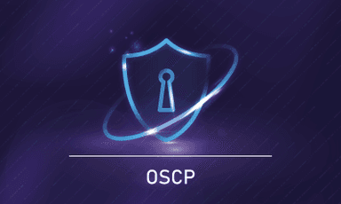 OSCP Training || "Reco slider img"