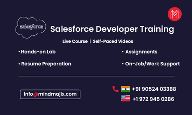 Salesforce Developer Training || "Reco slider img"