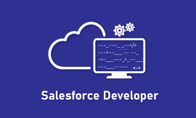 Salesforce Developer Training