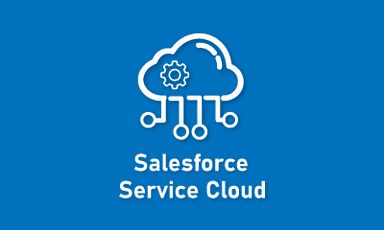 Salesforce Service Cloud Training || "Reco slider img"