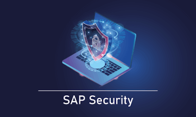 SAP Security Training || "Reco slider img"