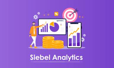 SIEBEL Analytics Functional Training || "Reco slider img"