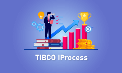 TIBCO IProcess Training || "Reco slider img"