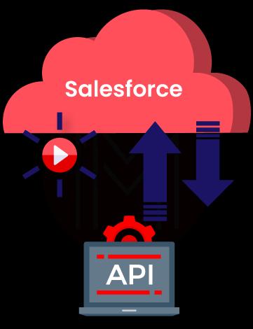Salesforce API