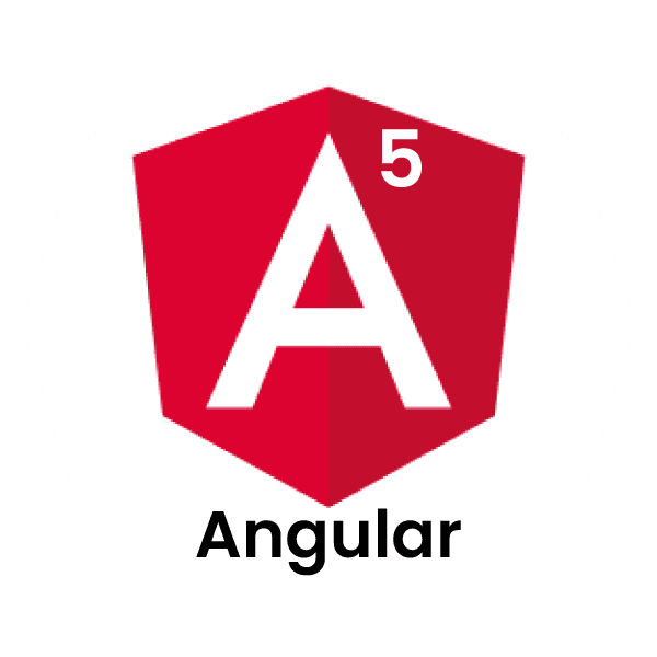 Angular 5 Interview Questions