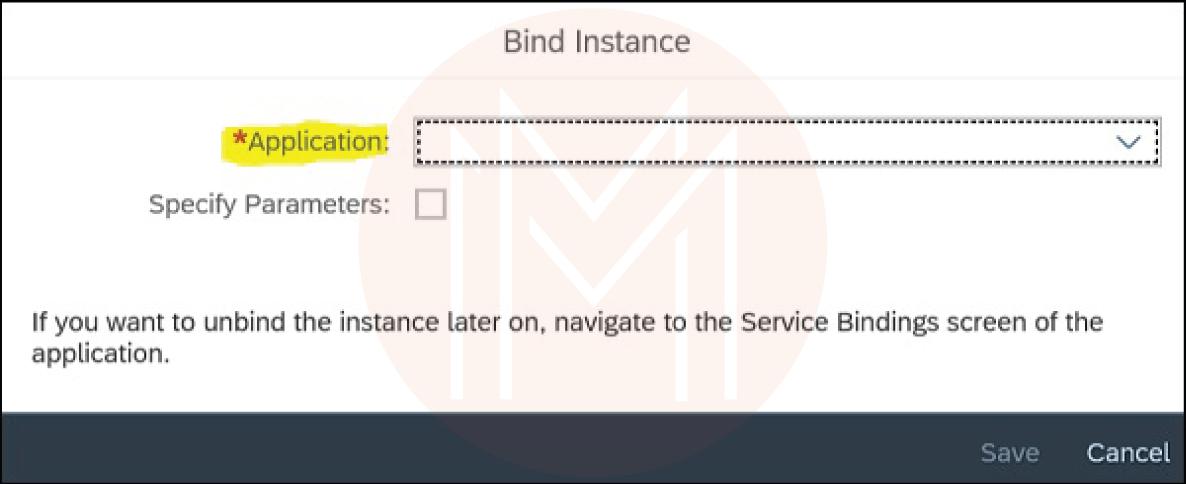 bindu instance application