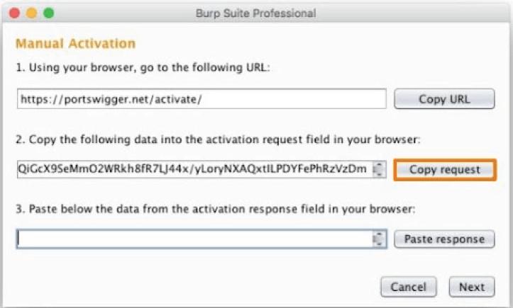 Burp Suite License - Manual Activation