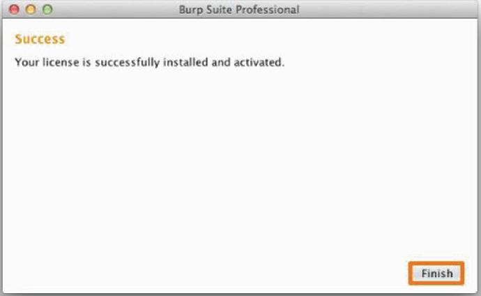 Burp Suite License start-up wizard load