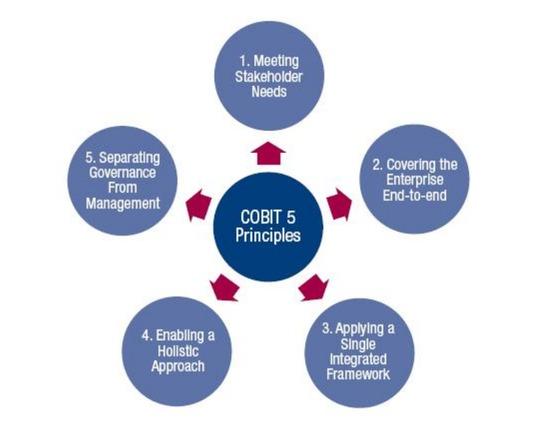 principles of Cobit