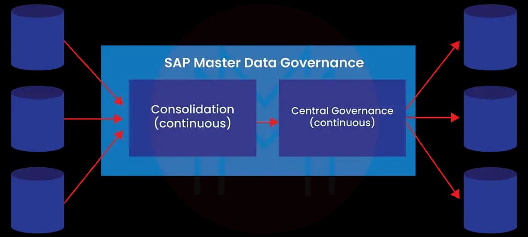 SAP Master Data Governance