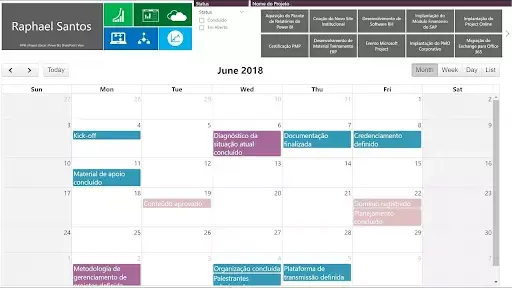 Custom visualization calendar charts