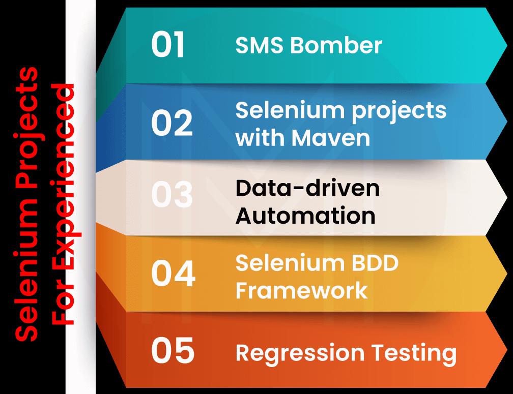 Selenium Projects for Experienced
