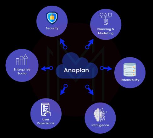 Features of Anaplan