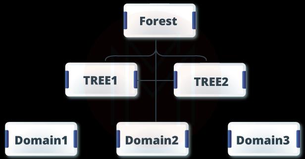 Trees, Forest and Domain