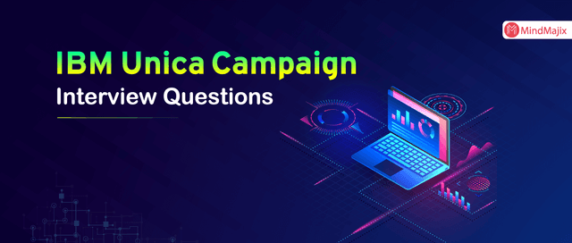 IBM Unica Campaign Interview Questions