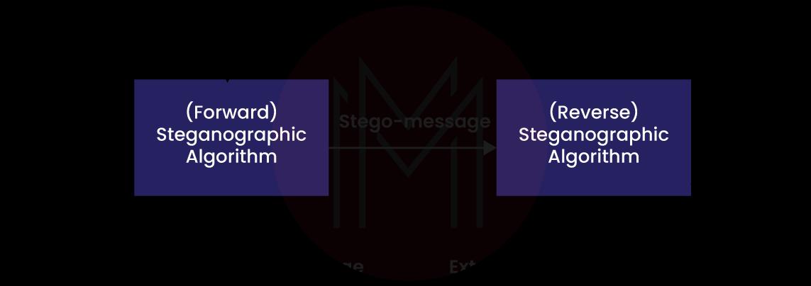 Image Steganography System