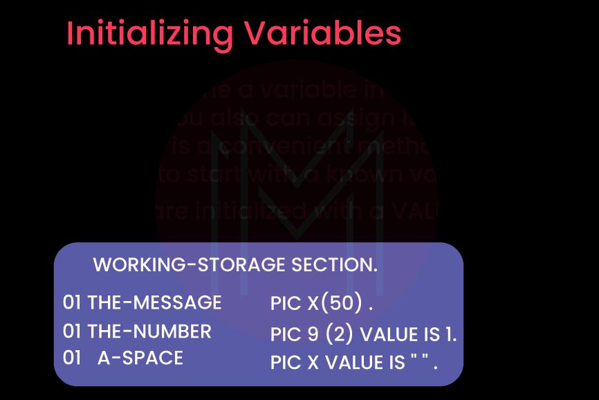 importance of INITIALIZE Variables
