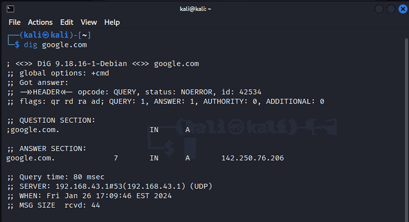 linux networking commands dig