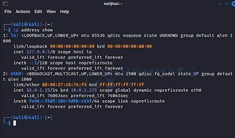 Linux Networking Commands ip