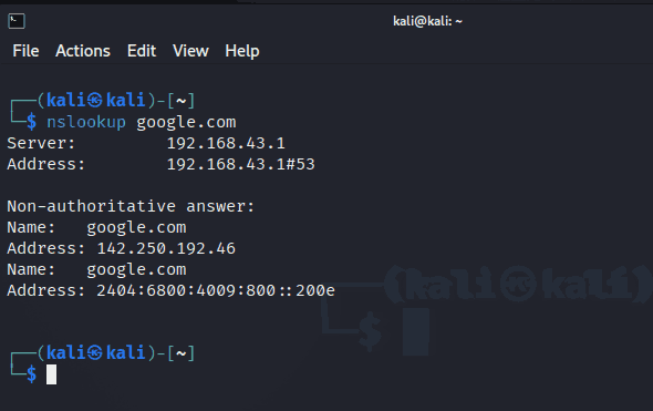 linux networking commands nslookup