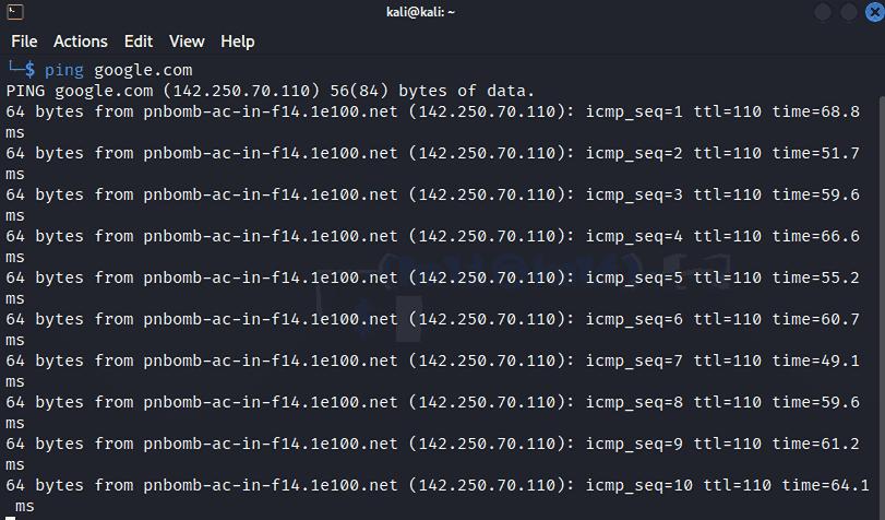 linux networking commands ping