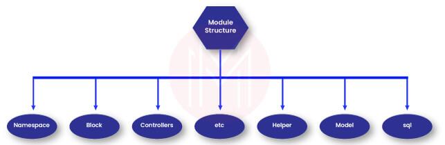 Module Structure