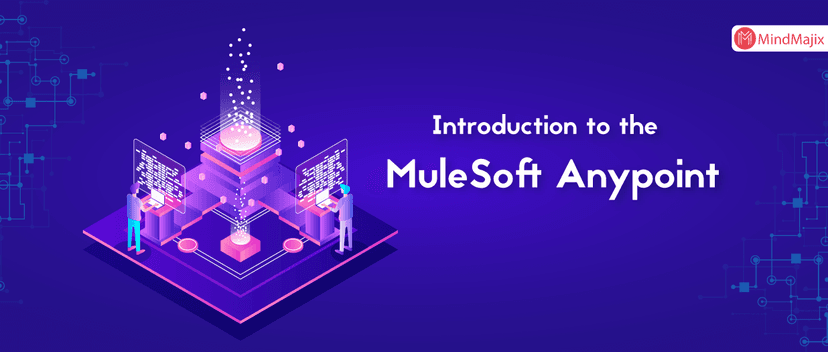 Introduction to the MuleSoft Anypoint 