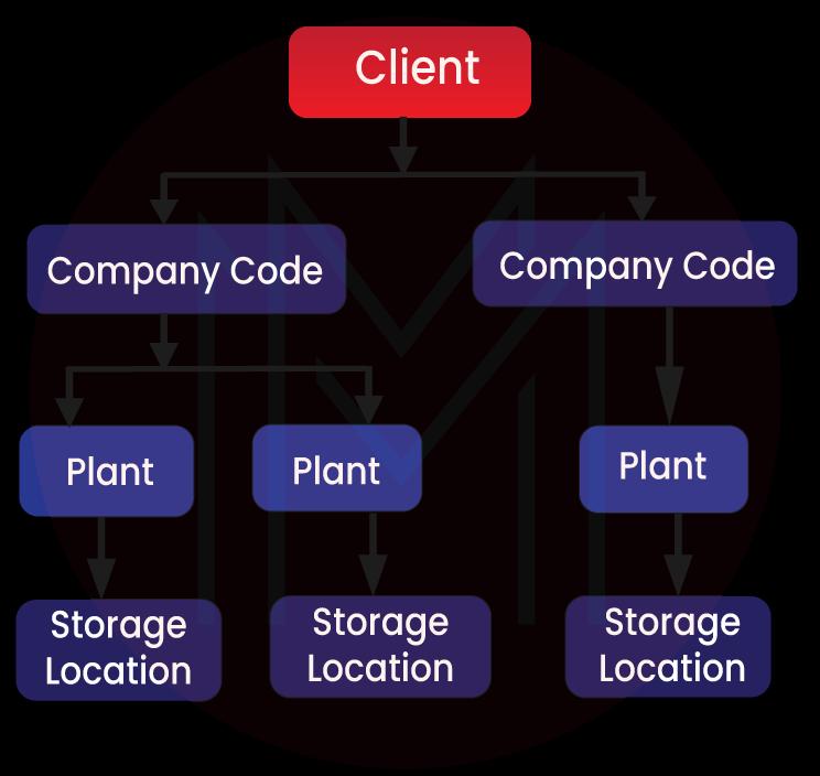 Organisational Structure