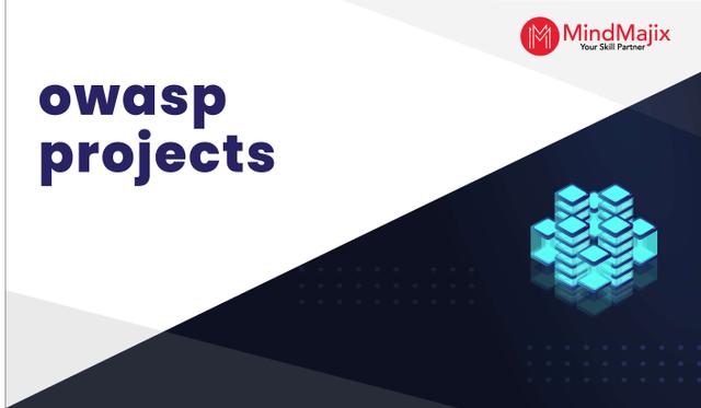 OWASP Projects and Use Cases