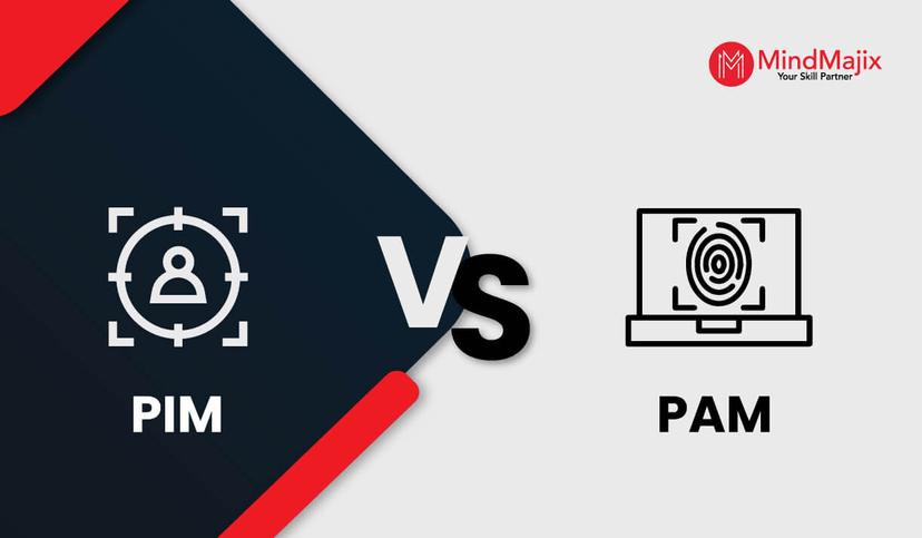 PAM vs PIM