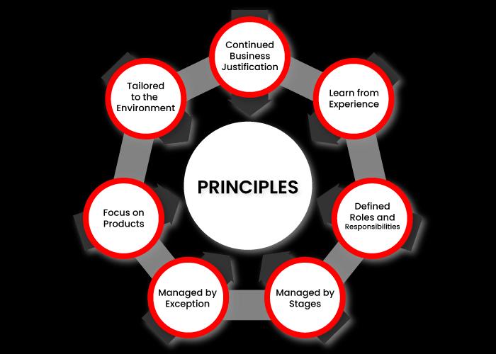Prince2 Project Management Principles