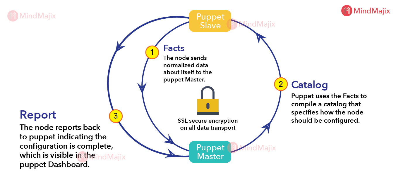 Understand the Working of Puppet