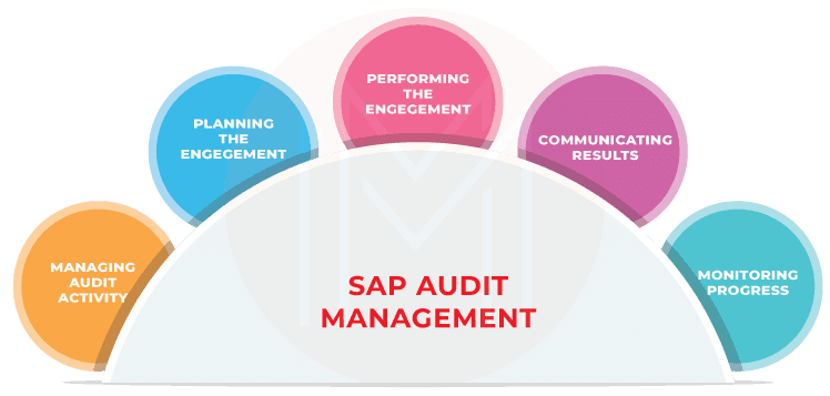 SAP Audit Management