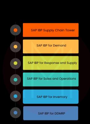 SAP IBP Modules